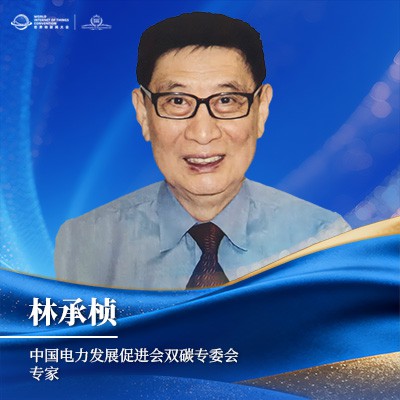林承桢 中国电力发展促进会双碳专委会专家 林承桢